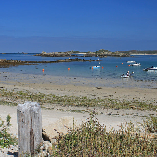 Scilly Pocket Map 4 - Tresco and the holy isles – Friendly Guides